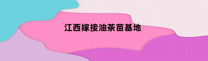 江西省嫁接油茶苗基地，相关内容介绍