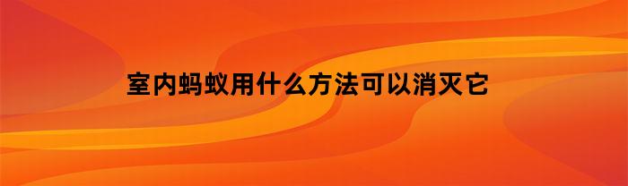 房間內(nèi)小螞蟻，怎么樣解決