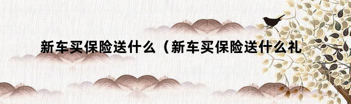 新車買保險送什么禮品合適？