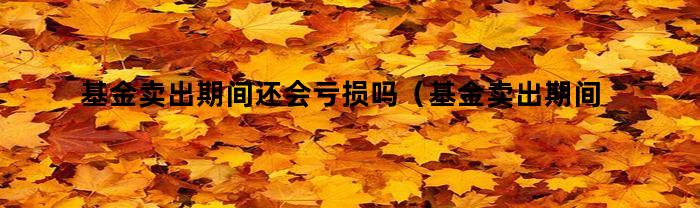 基金賣出期間還會虧損嗎？