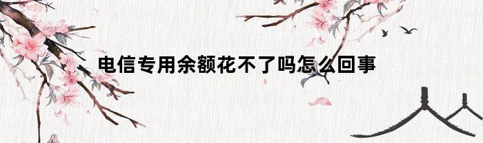 電信網專用型賬戶余額花不了，是怎么回事