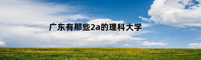 廣東都有哪些2a的理科大學