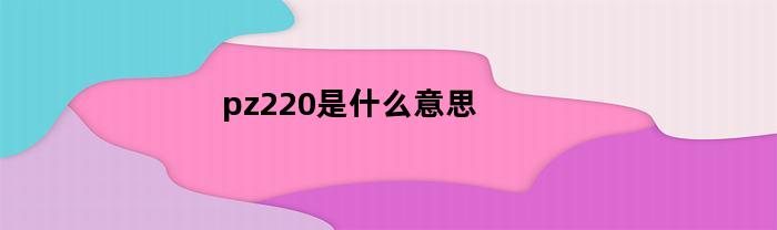 pz220，代表什么意思