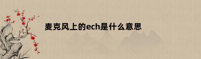 話筒里的ech代表什么意思