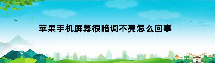 苹果手机屏幕偏暗或不亮的原因及解决方法