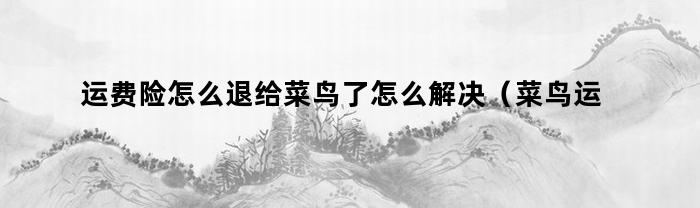 如何將運費保險退給菜鳥，如何解決？