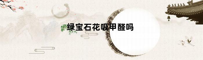 綠寶石花會吸收甲醛嗎