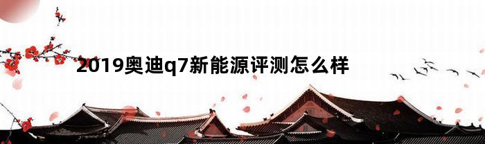 2019奥迪Q7新能源技术的实测结果如何？