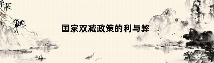 我國雙減制度的利弊介紹
