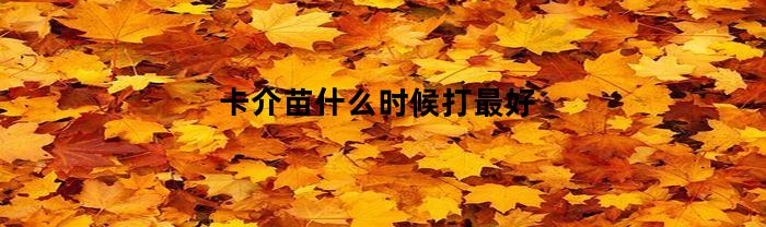 什么時(shí)候打卡介苗最好？